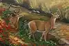 Thumbnail image 7