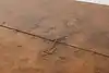 Thumbnail image 9