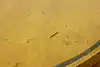 Thumbnail image 9