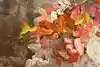 Thumbnail image 8