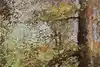Thumbnail image 7