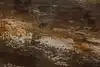 Thumbnail image 8
