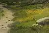 Thumbnail image 8