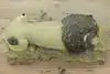 Thumbnail image 10