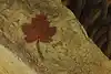 Thumbnail image 11