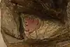 Thumbnail image 16