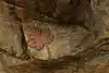 Thumbnail image 17