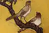Thumbnail image 25