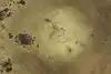 Thumbnail image 15