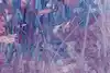 Thumbnail image 7