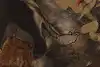 Thumbnail image 10