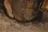 Thumbnail image 7
