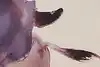 Thumbnail image 9