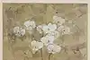 Thumbnail image 1