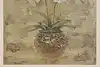 Thumbnail image 3