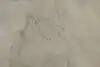 Thumbnail image 11
