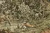 Thumbnail image 7