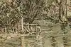 Thumbnail image 8