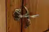 Thumbnail image 12