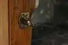 Thumbnail image 13