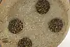 Thumbnail image 12