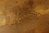 Thumbnail image 18