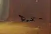 Thumbnail image 11