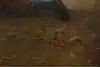 Thumbnail image 13