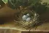 Thumbnail image 8