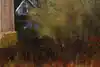 Thumbnail image 8