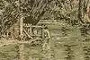 Thumbnail image 7