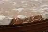 Thumbnail image 15