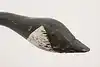 Thumbnail image 2