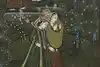 Thumbnail image 5