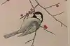 Thumbnail image 7