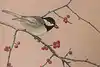 Thumbnail image 6
