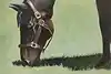 Thumbnail image 7