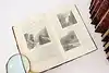Thumbnail image 15