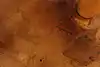 Thumbnail image 11