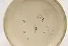 Thumbnail image 14