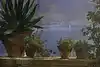 Thumbnail image 9