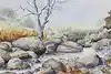 Thumbnail image 1