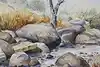 Thumbnail image 7