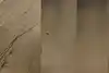 Thumbnail image 18