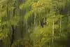 Thumbnail image 9