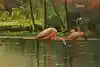 Thumbnail image 8