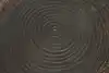 Thumbnail image 8
