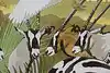 Thumbnail image 6