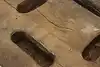 Thumbnail image 10