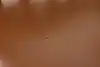 Thumbnail image 20